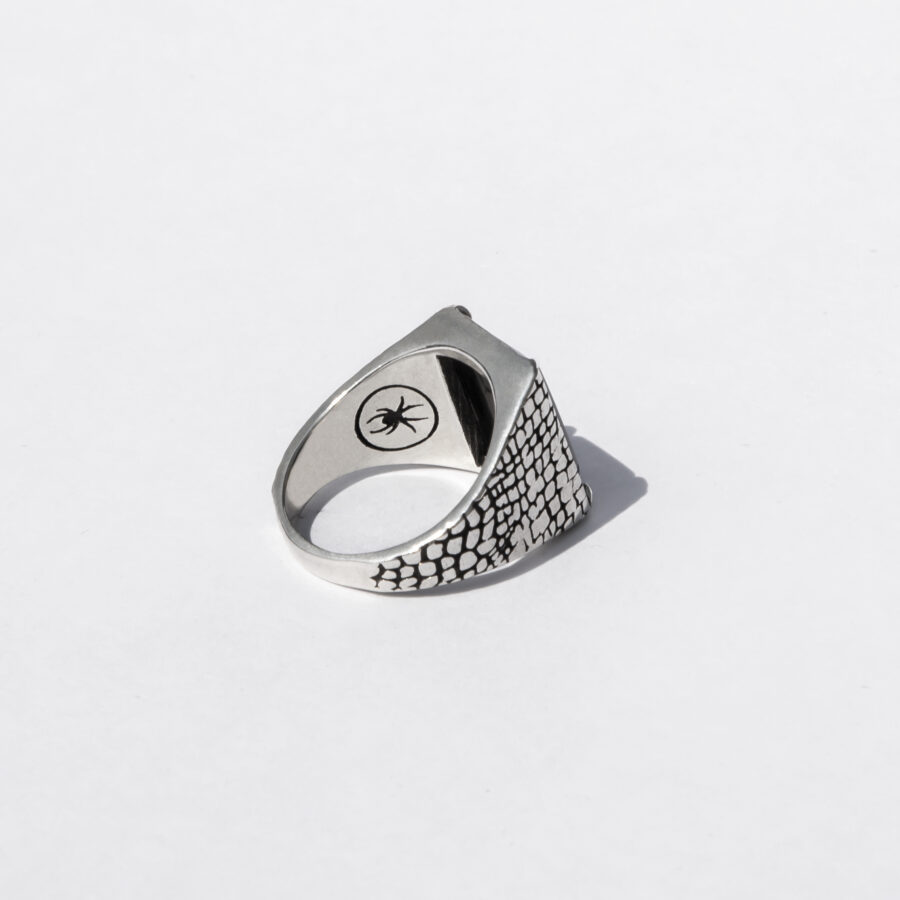 King lizard silver - blue aventurine - Image 3