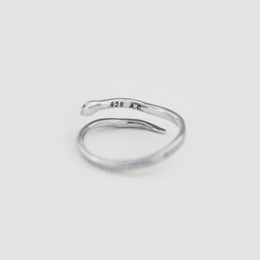 Guardiana ring silver - Image 4