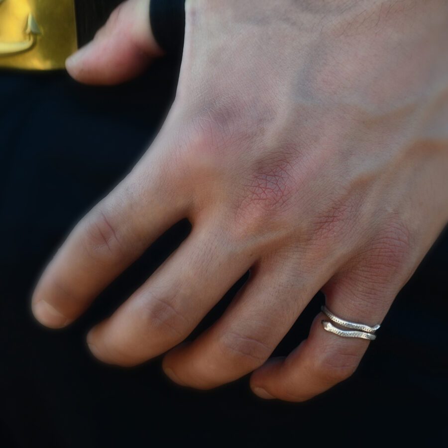 Guardiana ring silver - Image 3