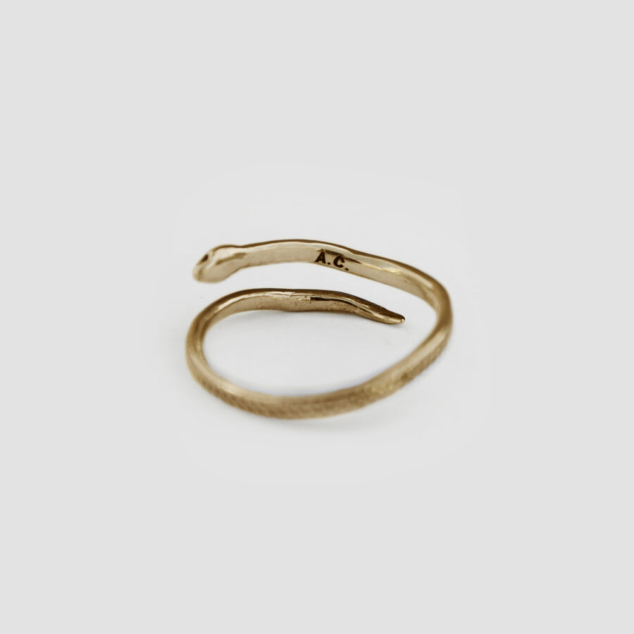 Guardiana ring brass - Image 4